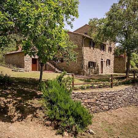 Apartament Borgo Al Teto La Vite Castiglion Fiorentino Zewnętrze zdjęcie
