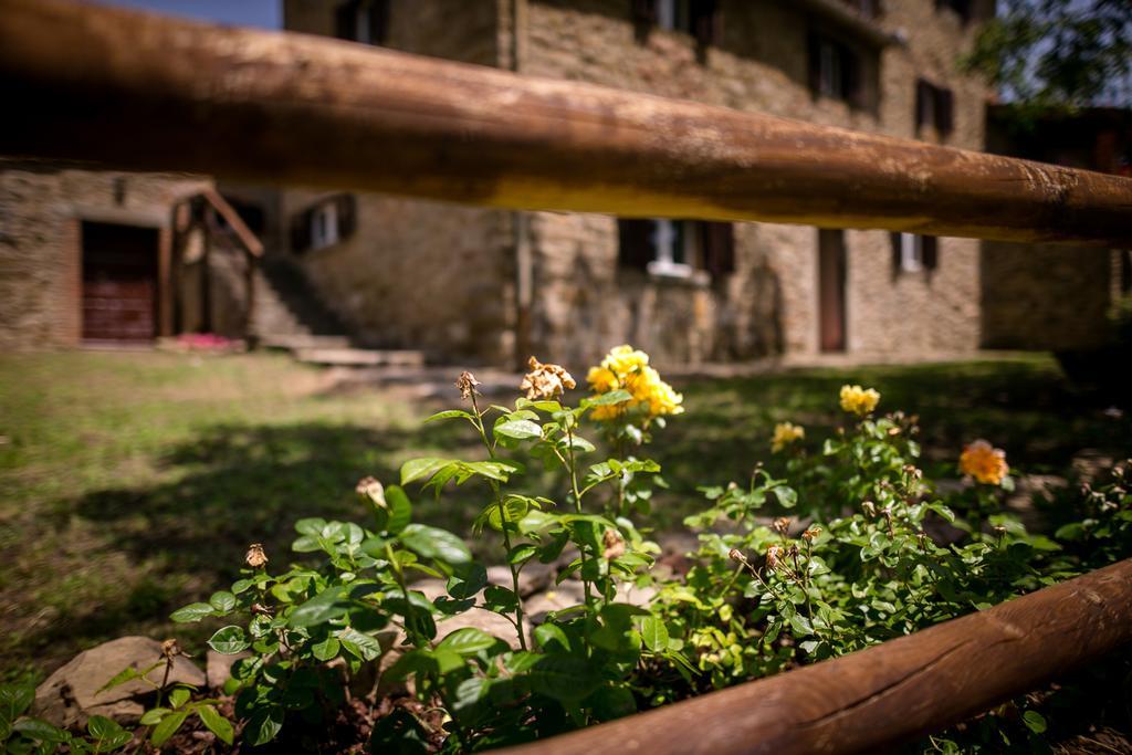 Apartament Borgo Al Teto La Vite Castiglion Fiorentino Zewnętrze zdjęcie
