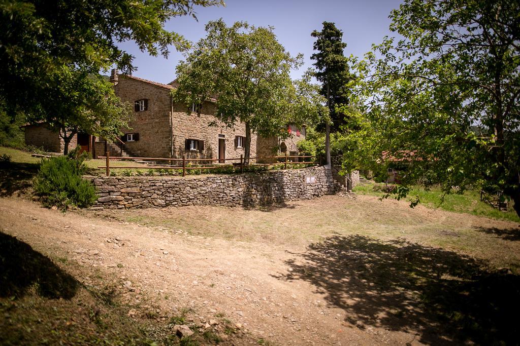 Apartament Borgo Al Teto La Vite Castiglion Fiorentino Zewnętrze zdjęcie