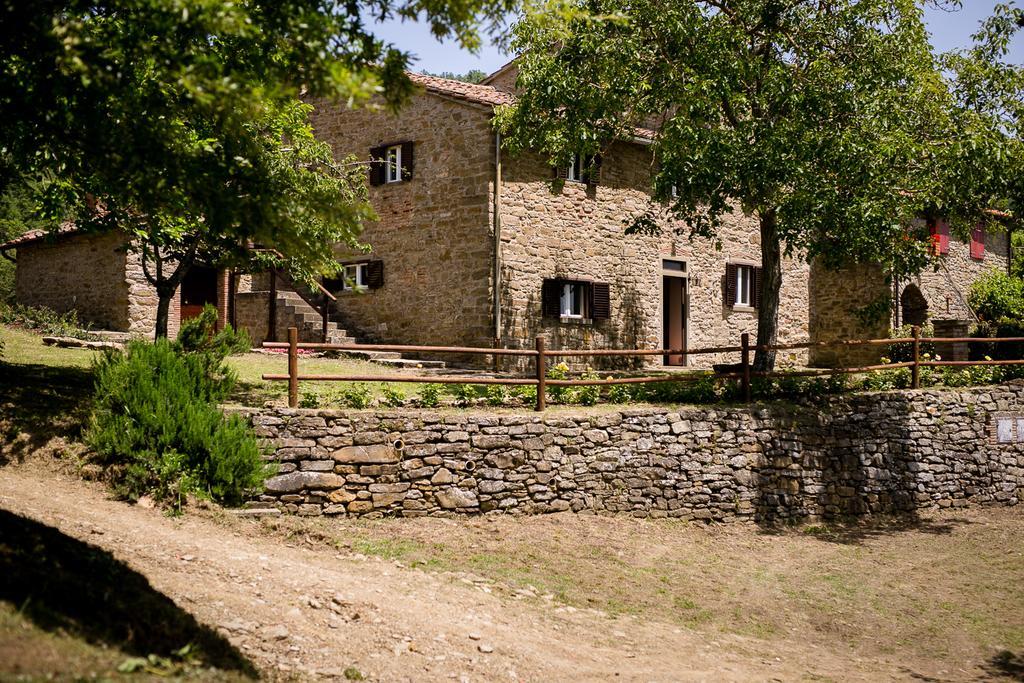 Apartament Borgo Al Teto La Vite Castiglion Fiorentino Zewnętrze zdjęcie