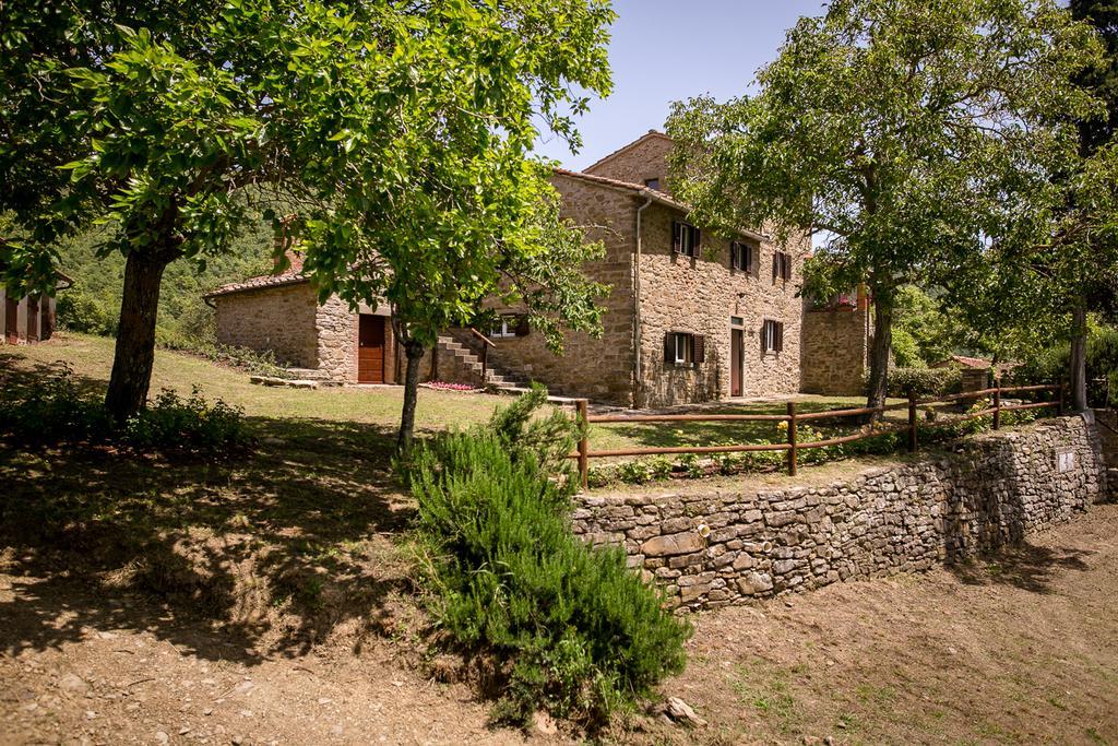 Apartament Borgo Al Teto La Vite Castiglion Fiorentino Zewnętrze zdjęcie